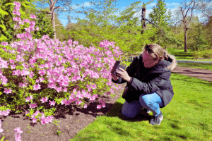 EdinburghEst - your guide to Scotland and Ireland