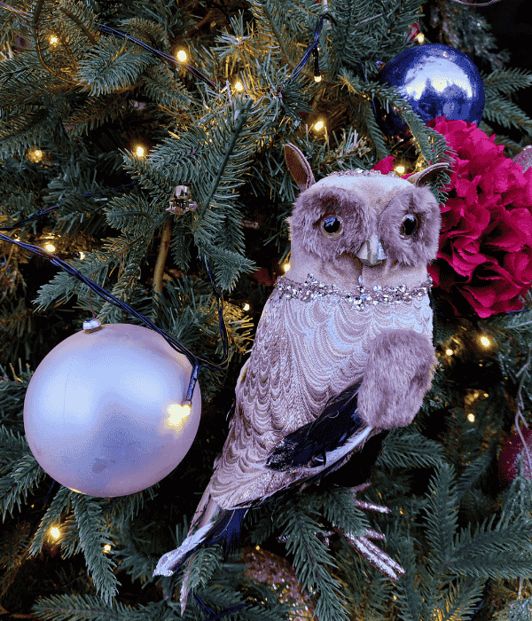 Christmas in Edinburgh