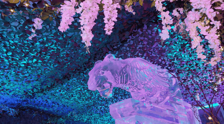 visiting the ice bar in edinburgh