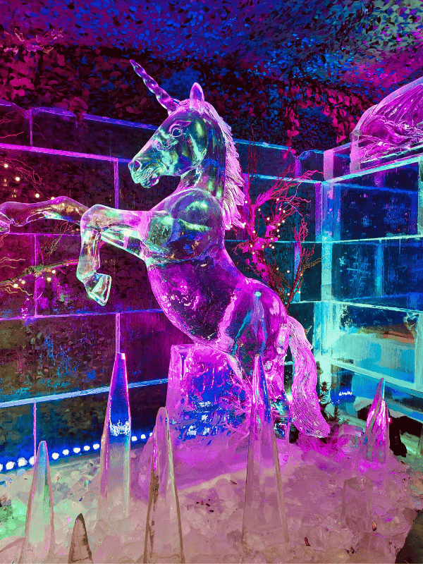 Great idea for couples in Edinburgh - visit together Ice Bar in Edinburgh