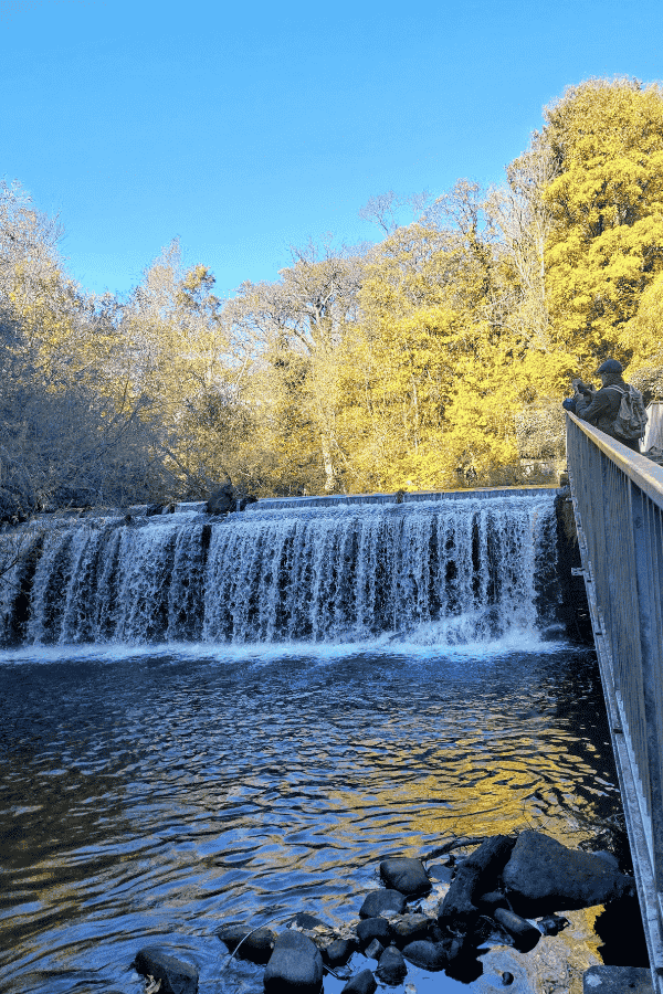 autumn walk water of leith, dean village in november