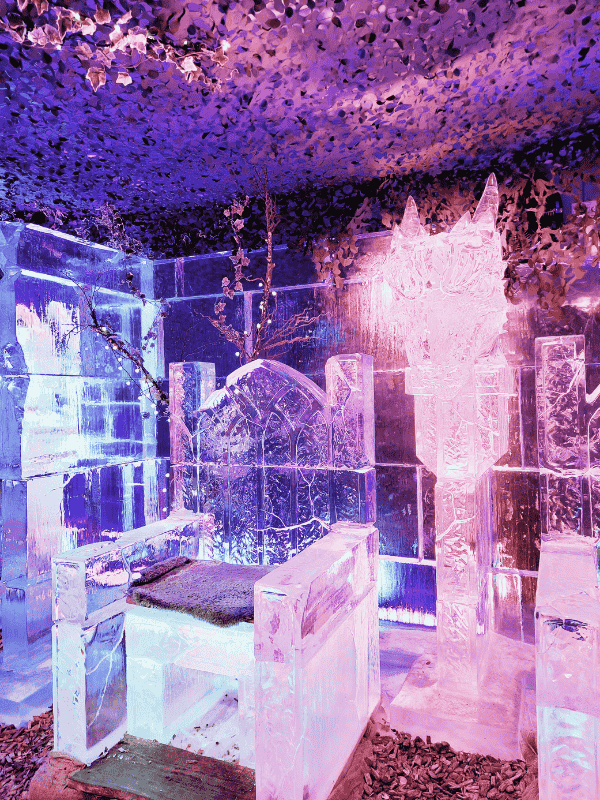 visiting the ice bar in edinburgh 2025