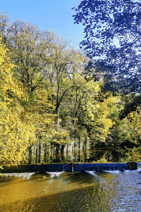 walking along water of leith