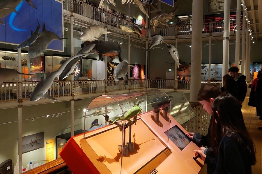 National Museum of Scotland - s great place to visit in Edinburgh